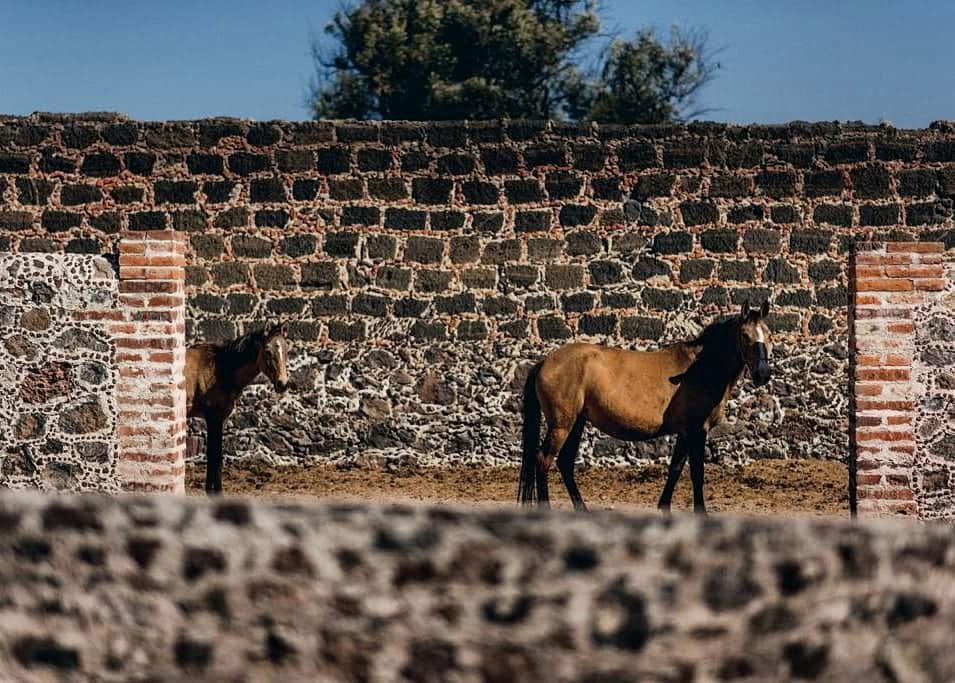 Caballerizas Rústicas