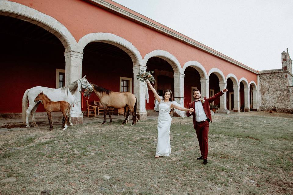 Jardines para Eventos